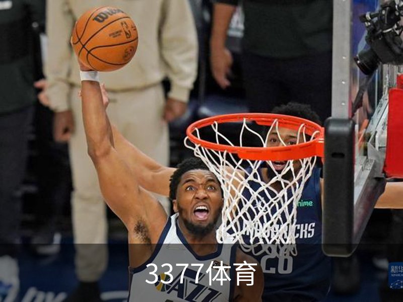 了解3377体育